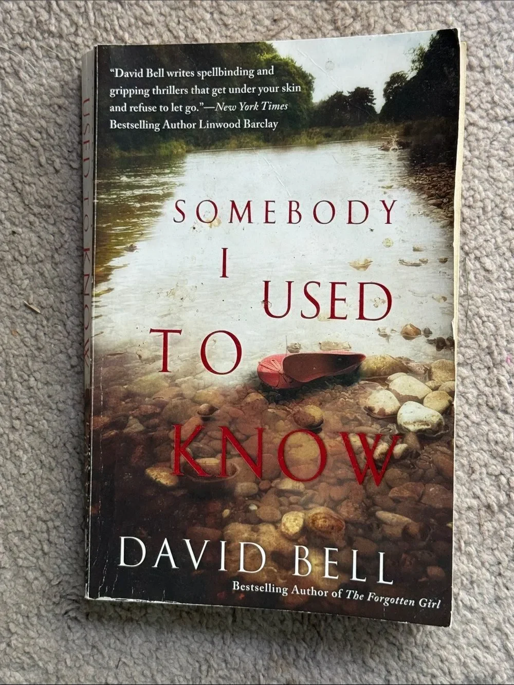 “Someone I Used to Know” a novel by David Bell